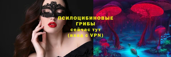 прущий лед Осташков