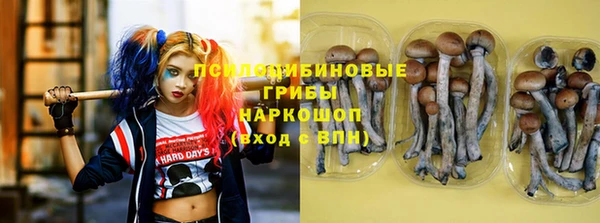 стаф Остров