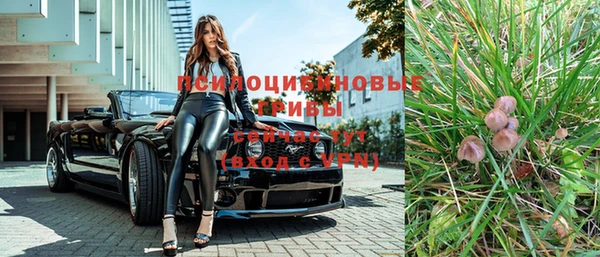 стаф Остров